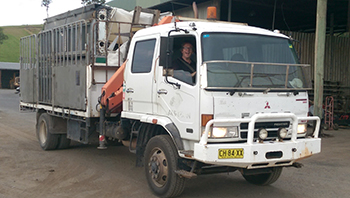 cliff truck2 cliff truck2